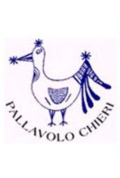 Pallavolo chieri