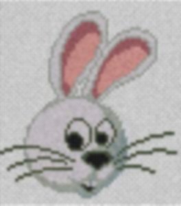 Coniglio