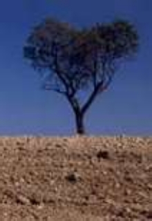 cielo e terra