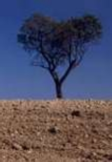 cielo e terra