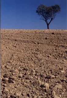 cielo e terra