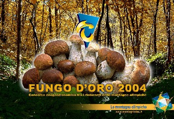 fiungo d