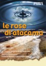 Le rose di atacama 1