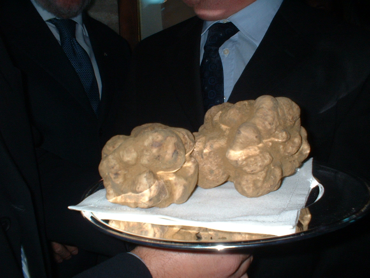 tartufo ricco