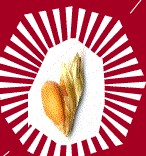 granai torino