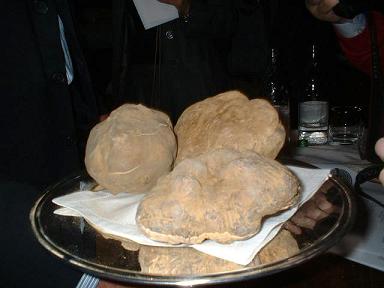 1500 gr di Tartufi