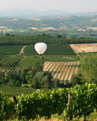 VolareDiVino_photoByMarcoSalzotto