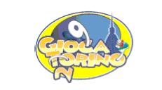 Gioca Torino 2009