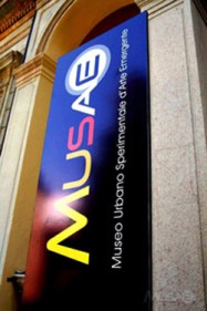 Musae