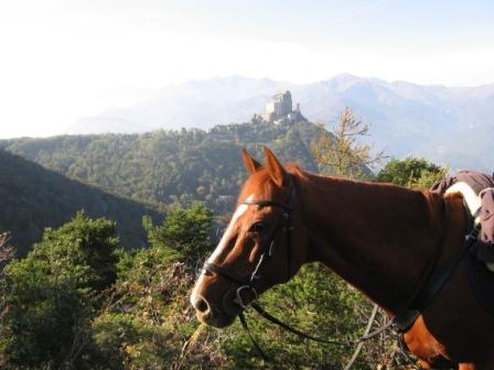 Sacra di San Michele e cavallo