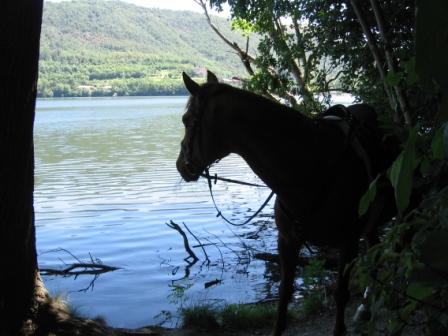 Lago Avigliana