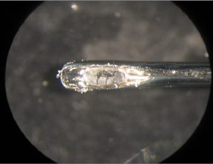 nanoarte smart collective