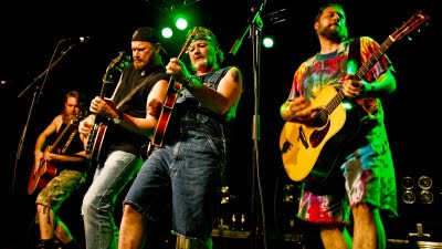 Hayseed Dixie