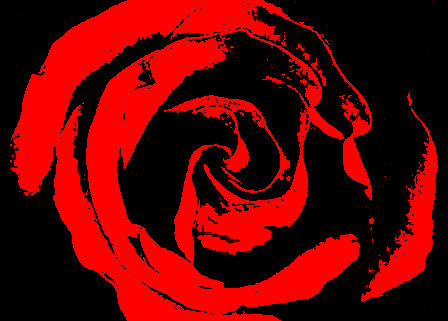 MenoPelnaso_RosaRossa